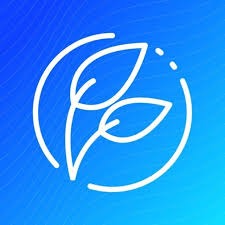 Techniche Logo